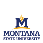 Montana State University